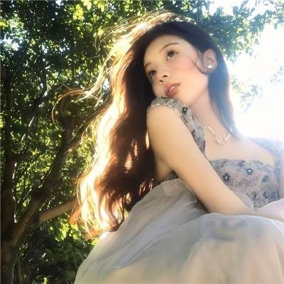 最后的气宗